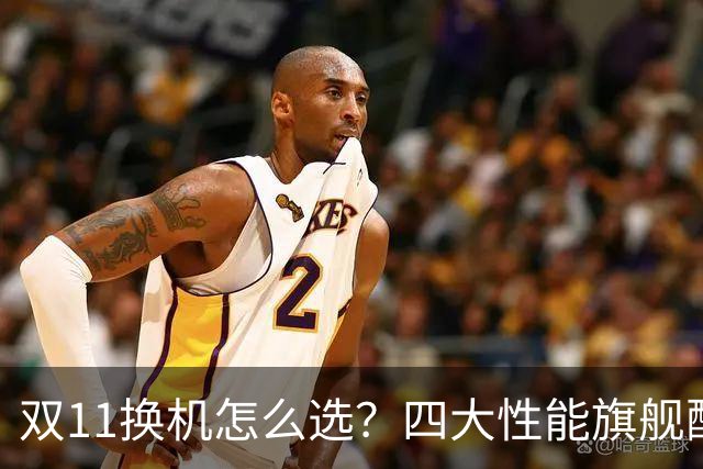 双11换机怎么选？四大性能旗舰配置详解 这款几乎无短板
